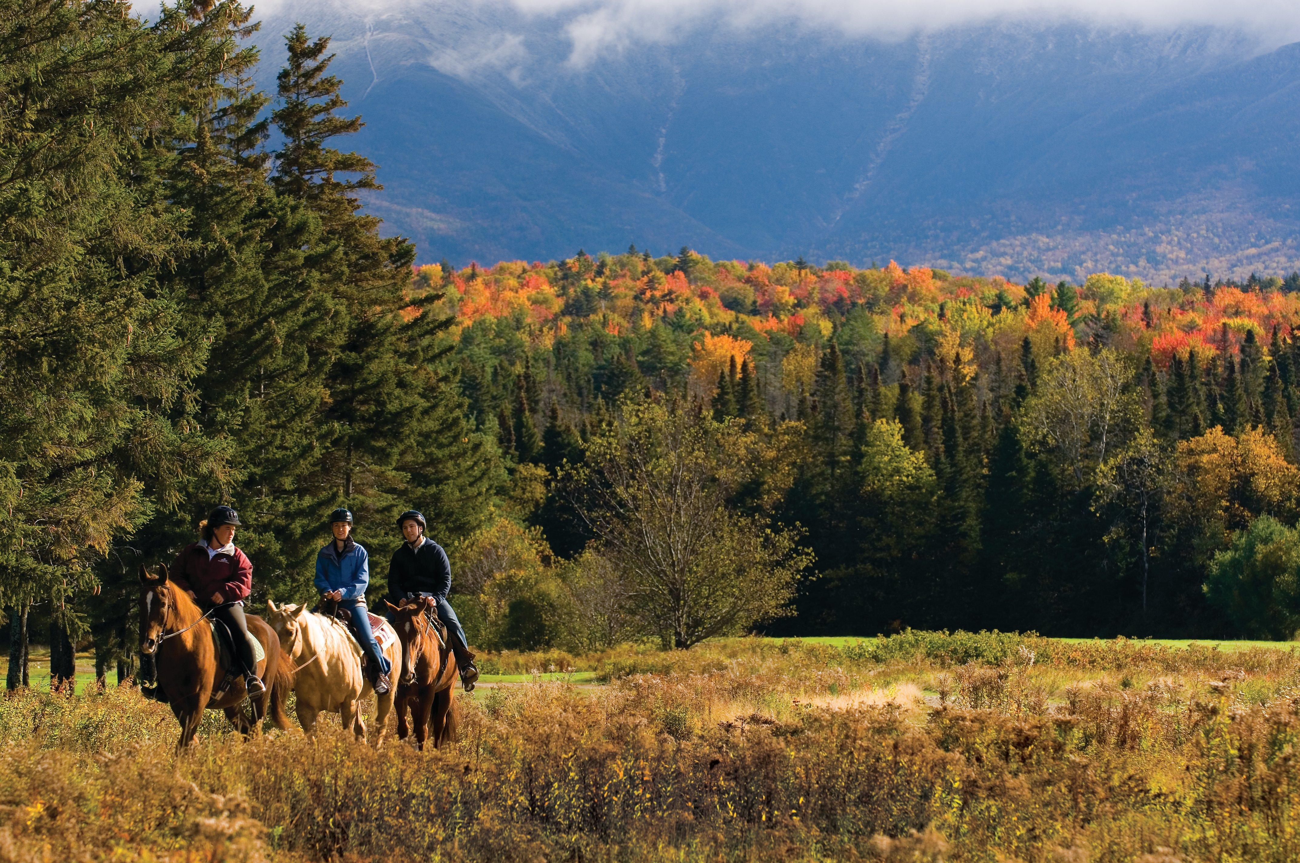 Omni Mount Washington Resort & Spa Bretton Woods Ngoại thất bức ảnh